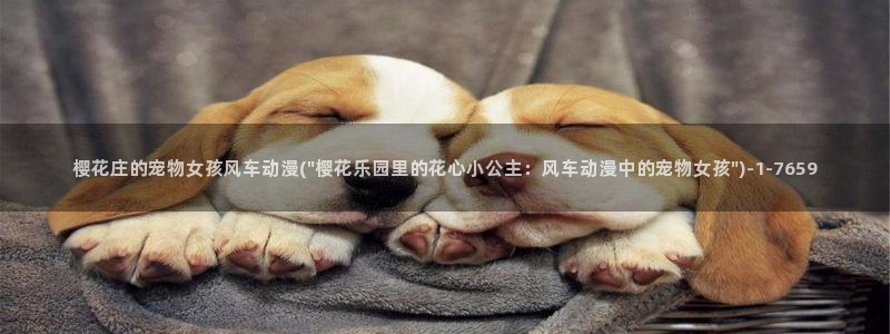 樱花动漫专注动漫的门户网站