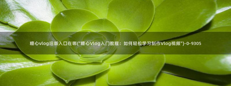 糖心vlog美杜莎视频：糖心vlog旧版入口在哪(\