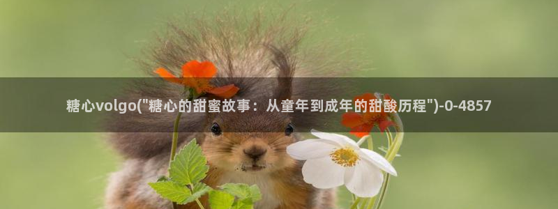 糖心出品vlog传媒