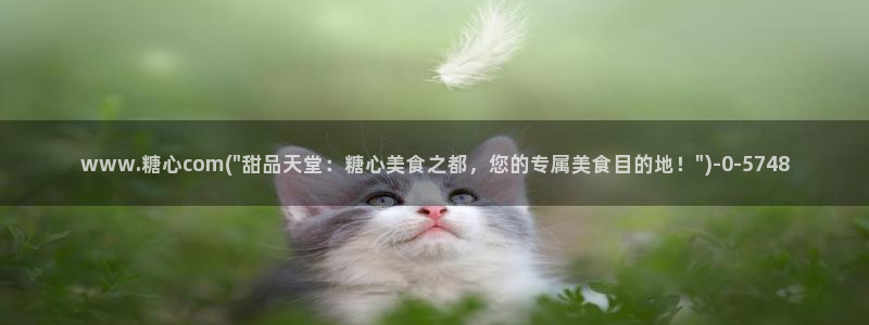 糖心vlog 多乙：www.糖心com(\