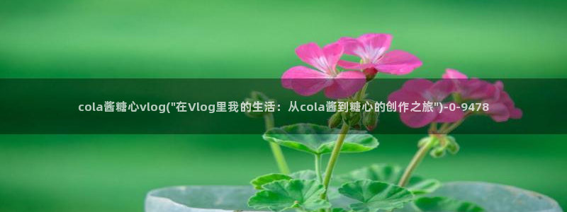 糖心vlo：cola酱糖心vlog(\