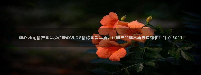 糖心vlog在线观看高清：糖心vlog精产国品免(\