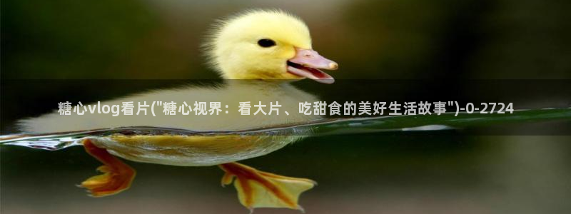 心糖vlog免费：糖心vlog看片(\