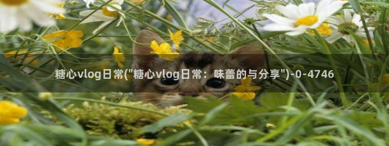 糖心vlog视频下载：糖心vlog日常(\