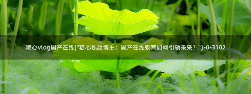 糖心vlog司雨