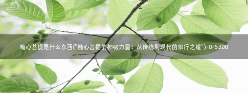 捅主任糖心vlog